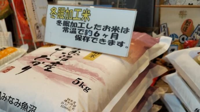 仲間入り②
