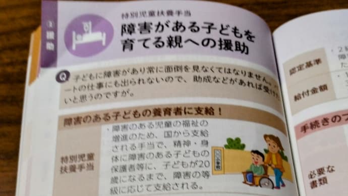 特別児童扶養手当(社会保障)