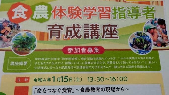 言葉だけでなく経験が大事