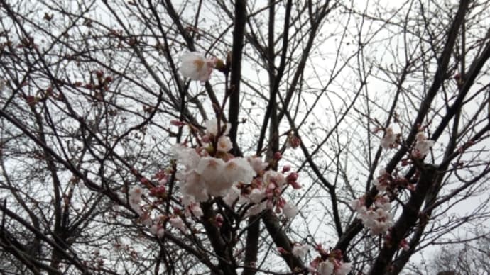 愚痴を聞くのも愛情