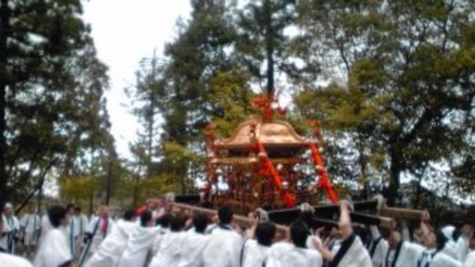 5月1日は地元石部のよしみこ神社のお祭り！！神輿担ぎへ！！