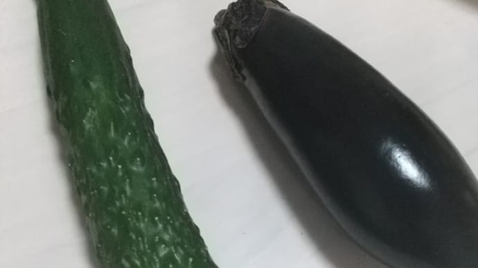 仕込みの結果