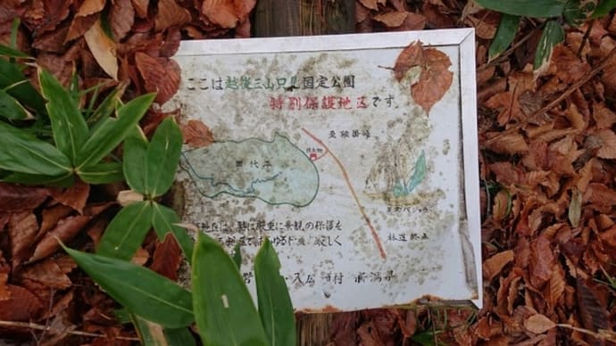 vol.4420 戊辰150年を迎えた錦秋の八十里越=後編=