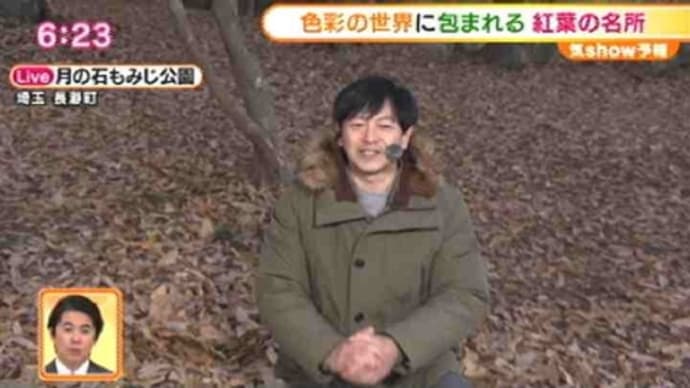月の石もみじ公園