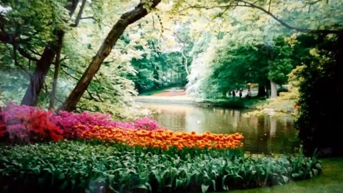 オランダキューケンホフ公園