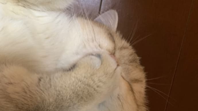 ナデナデの時間