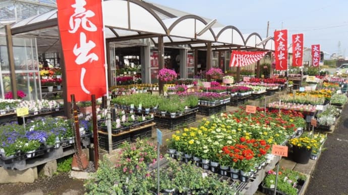 宮崎園芸・春の大売り出しと畑と庭と・・・