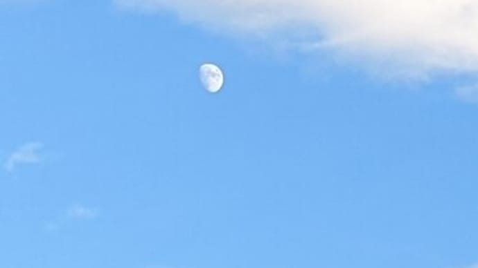 久しぶりの青空