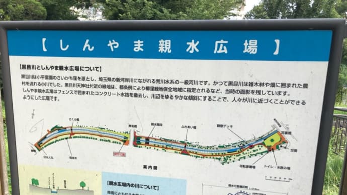 有給消化30日目 (*^-^*)
