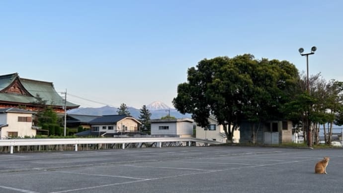 信玄公、最期の出陣その3