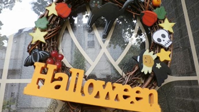 怒涛の10月が終わり!咲いてる薔薇とHappy Halloween!猫の様子と人情に泣いた!