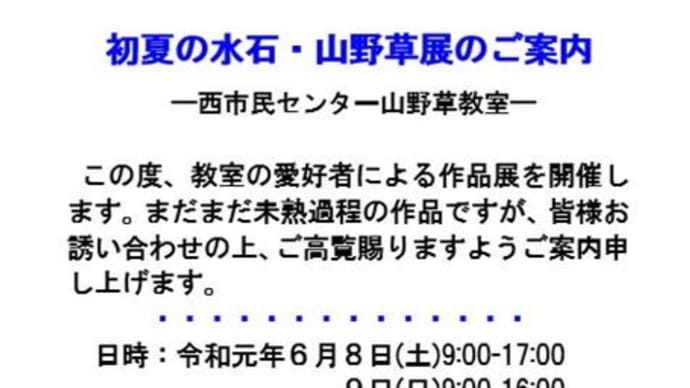 いよいよ明日から～山野草展