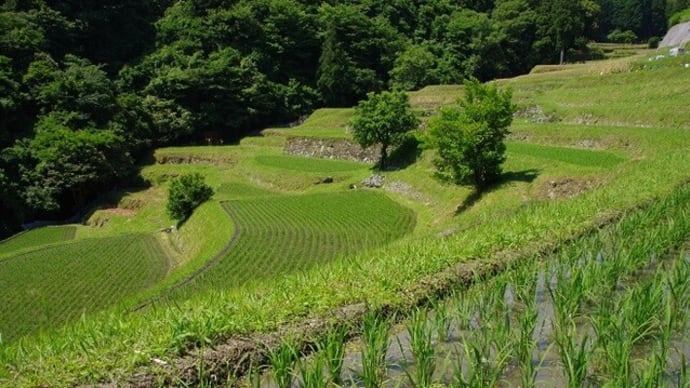 大阪平野の眺め ~ 神津嶽ふれあい広場より