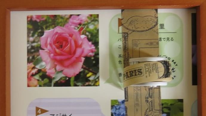 プチカッター<Bobbin>(生け文具3828)