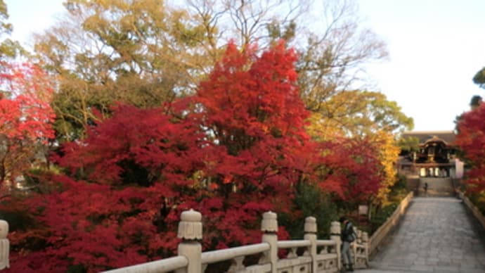 京都妖怪探訪（２４０）：2012年・大谷本廟の紅葉