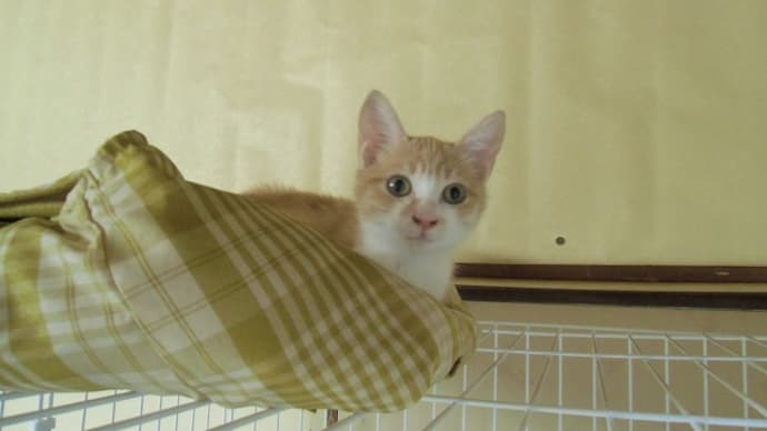 トラちゃん絶好調で~す(^^♪