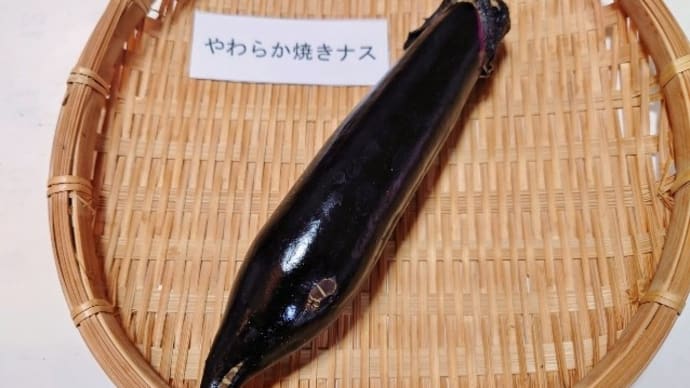 なすだらけの一皿