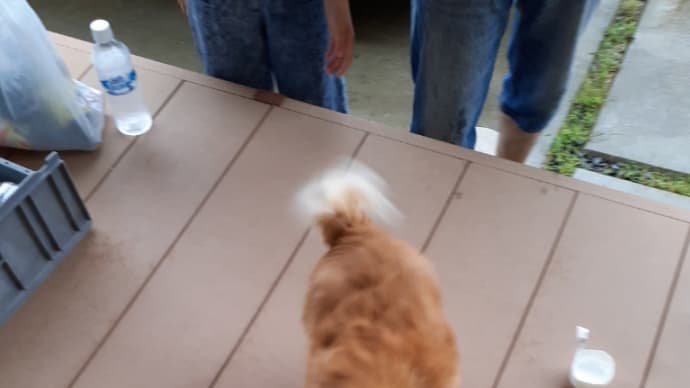 おめでとう