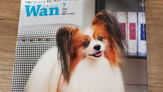 Wan7月号発売中です!