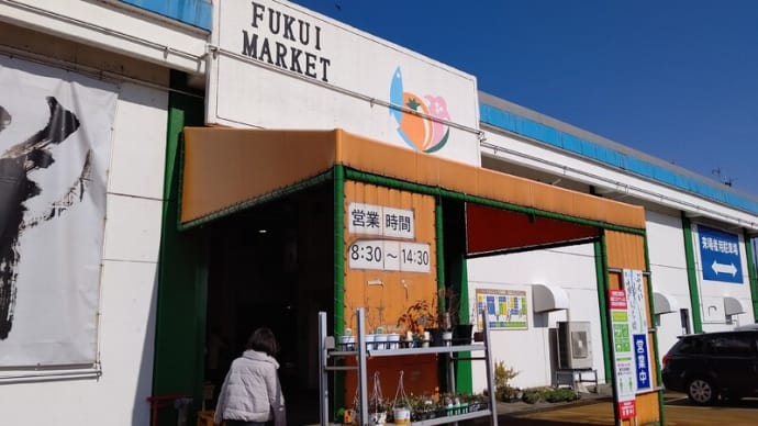 ふくい鮮いちば「群青」でランチ!