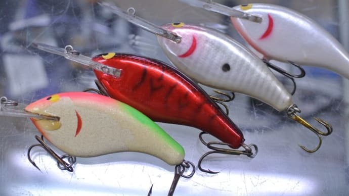 キャロライナ系フラットサイド テネシータフィーは?