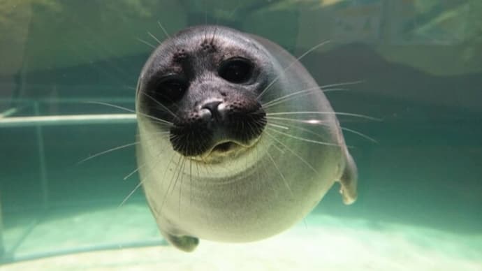 20230626 いしかわ動物園