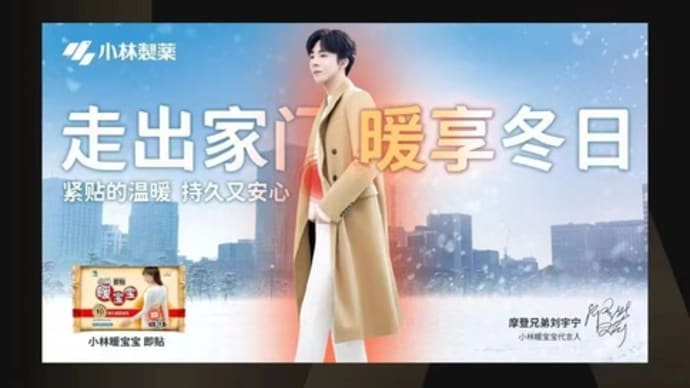 2022/11/30 刘宇宁 小林製薬