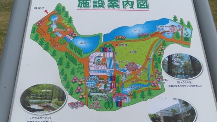 水戸市植物公園