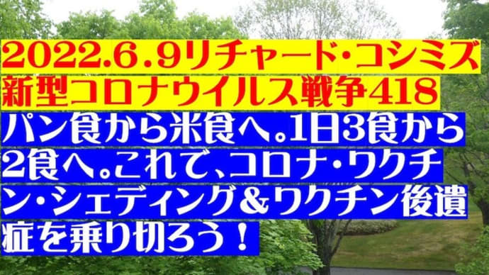 2022.6.9リチャード・コシミズ新型コロナウイルス戦争418動画を公開します。