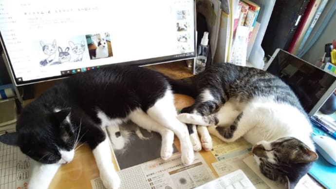 O型なりの几帳面さ？！