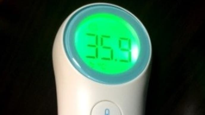 非接触型体温計が便利!
