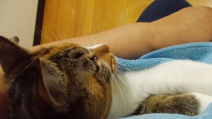 歯磨きは大切…。