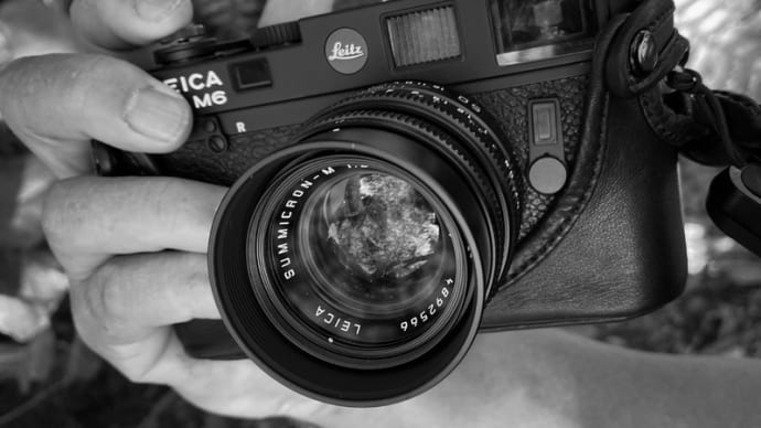 2023 Leica M6 始めます！ 今しかないっ！！