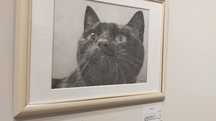 長崎書店のギャラリーで～『タラクロ・保護猫・地域猫　西方由美えんぴつ画集』原画展 