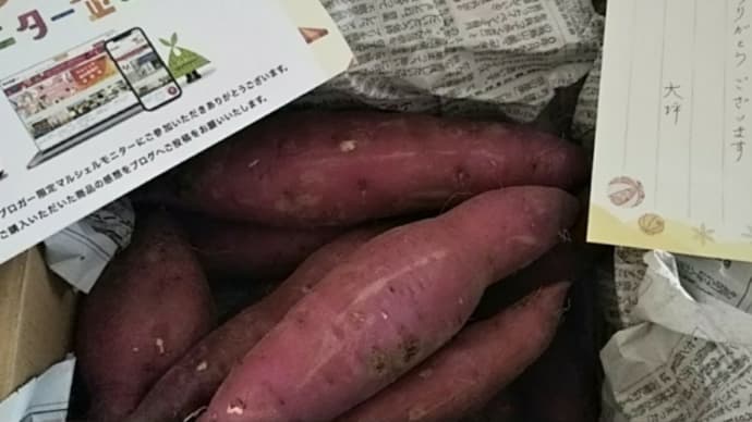 【マルシェルモニター当選者限定 購入商品】南国高知のさつまいも 紅はるか2kg