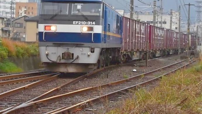 伊予三島の「大王製紙専用線」の貨物列車を見てきました１〔愛媛県四国中央市〕