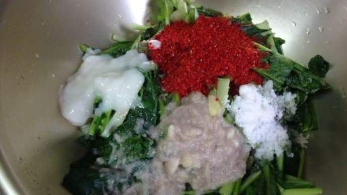 小松菜キムチを作る!