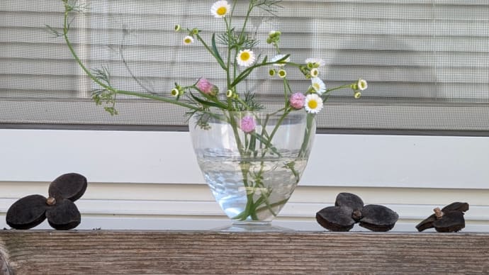 野の花