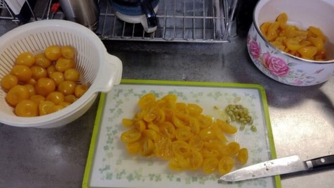 金柑シロップ作りました