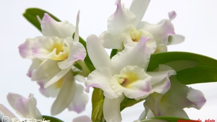 5月の良い季節になって来ましたね……!