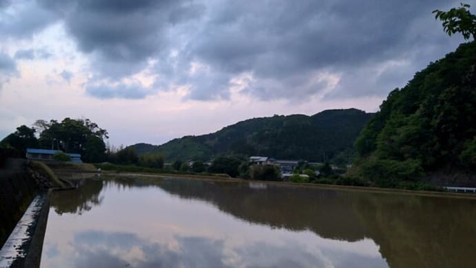 風にノイバラの香りの空