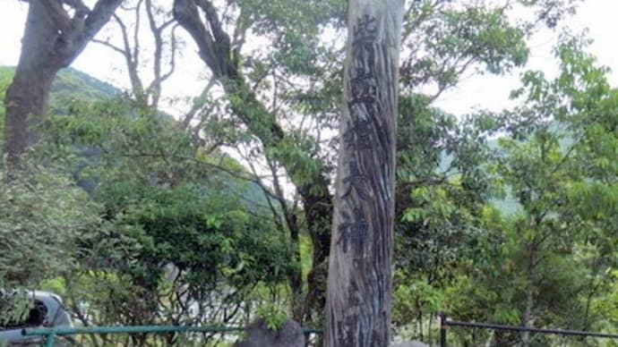 肥薩線。現状は如何に③休憩場所には「あれ」が。。。