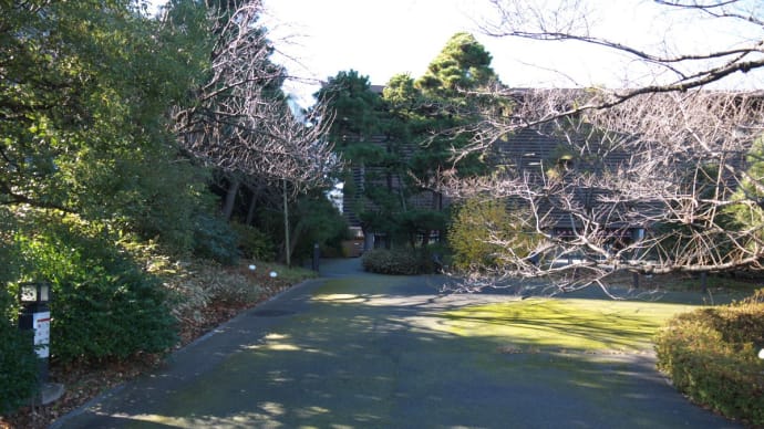 1月の霞が関:三宅坂交差点から国道20号線・半蔵門交差点まで PART2