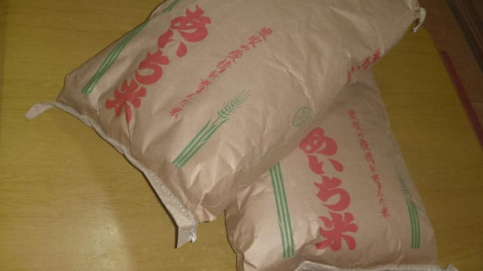打ち直し