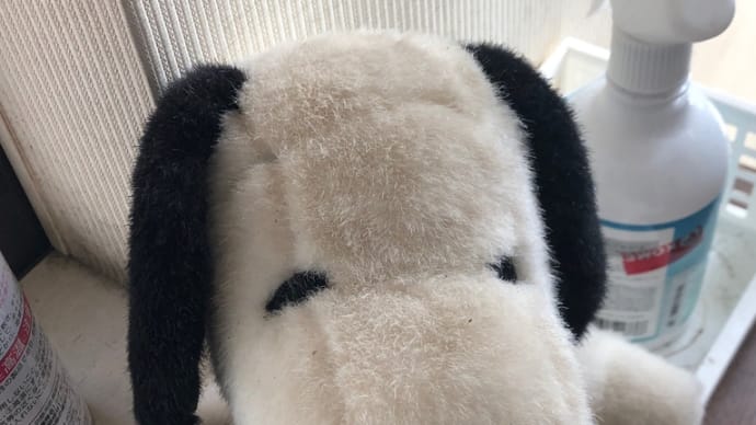 いぬは、飼い主次第だね