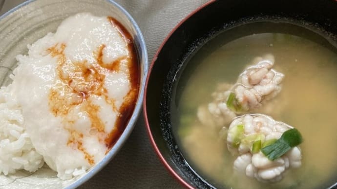 【男の手料理】真たちの味噌汁 / Miso Soup with cod milt
