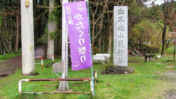 出早公園かたくり祭り 黒猫ゴロゴロ