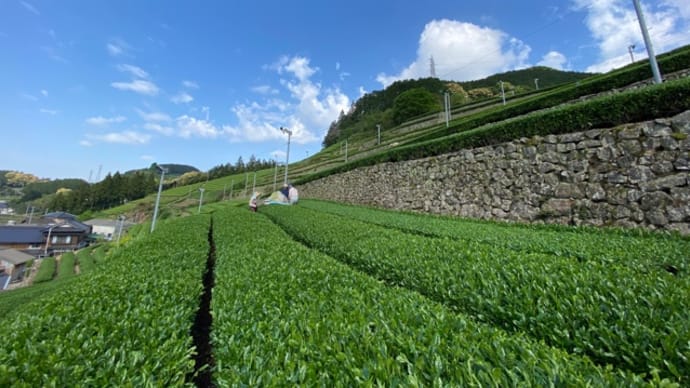 青空のもと✨🌱✨