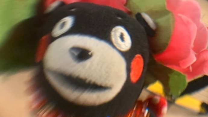 ❤️561❤️①ヨコハマエアキャビン初ライドモン❤️