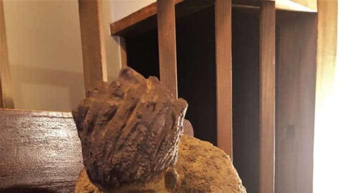 つちびとの過去、現在、未来